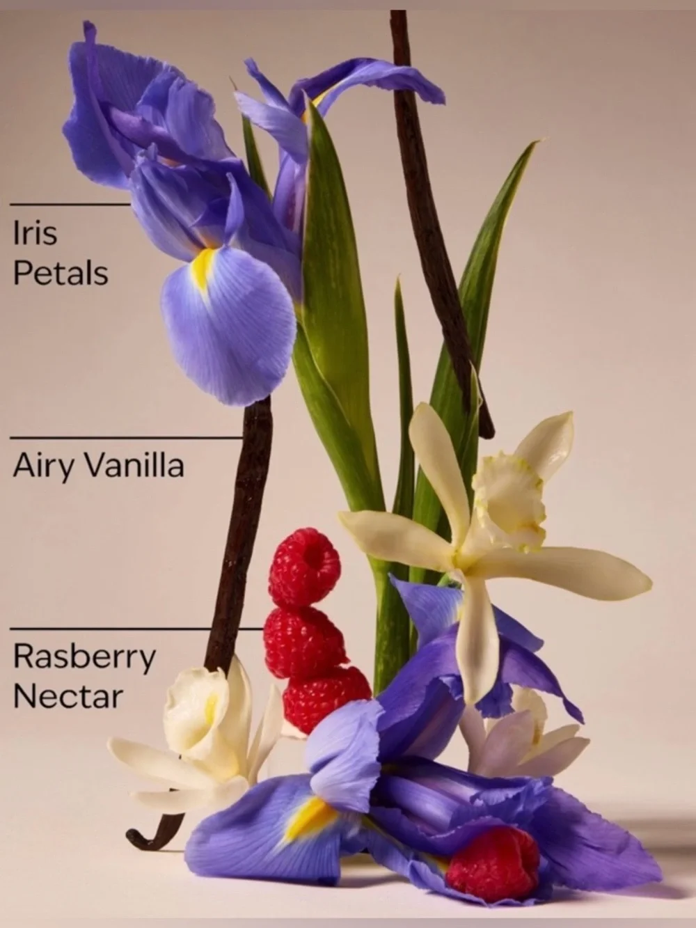 Bath & Body Works Butterfly Gift Set - Limited Edition NEW - Picture 4 of 4